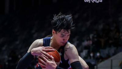 [KBL 뉴스] 드디어 완성된 4강 PO 대진표...DB-KCC, LG-KT 대격돌